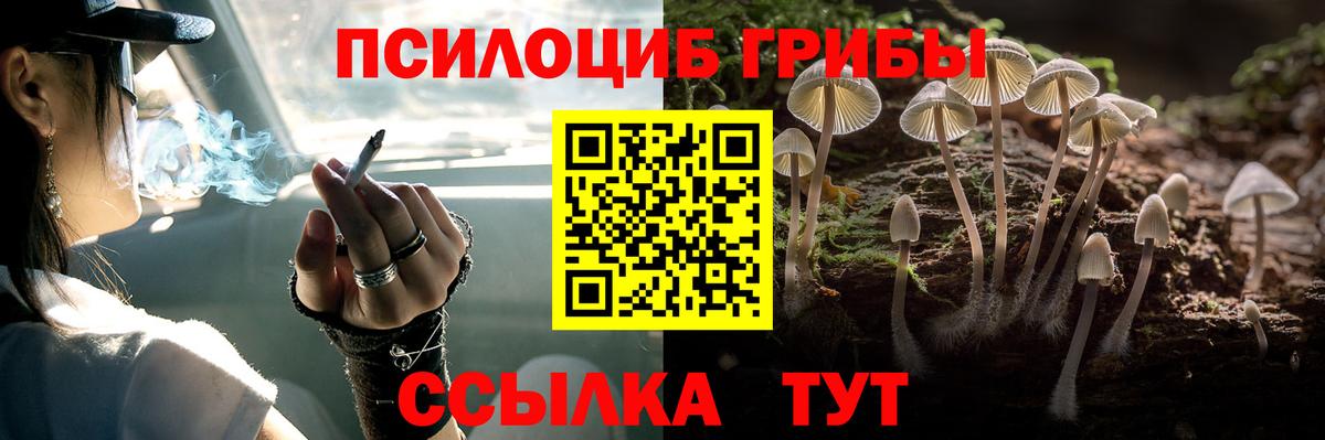 Рославль  Псилоцибиновые грибы MAGIC MUSHROOMS  Вход с VPN 